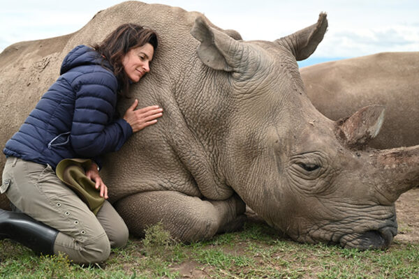 1 Day Ol Pejeta Wildlife Sanctuary Tour