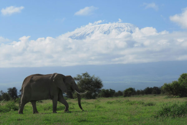 7 Days Private Safari Program