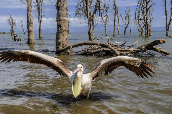 Lake Naivasha, Crescent Island and Hell’s Gate Day Trip