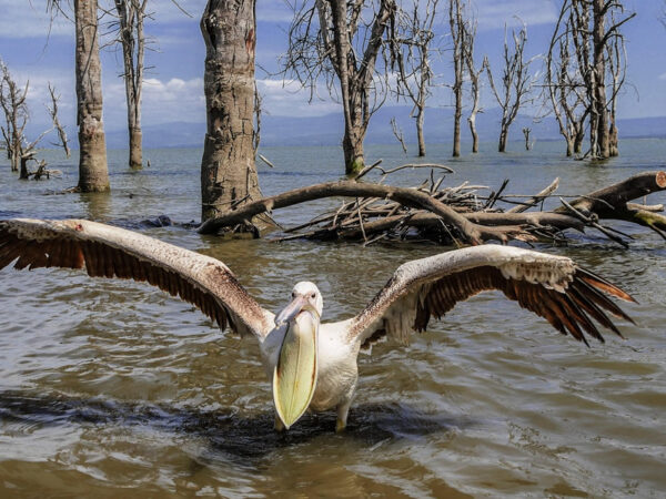 Lake Naivasha, Crescent Island and Hell’s Gate Day Trip